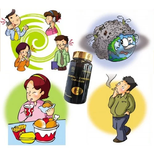 Norland Natural B-carotene - Prevents Stroke & Anti-aging - 60 Caps - Image 4