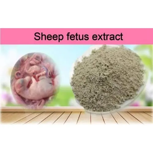 Norland Immune Plus Capsules - Boost Immunity & Fertility In Women - 60 Caps - Image 6