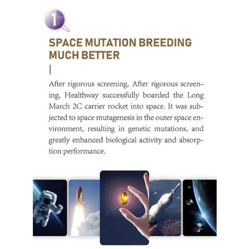 Norland Healthway Herbal Capsules - Treats Fatty Liver & Hepatitis - 30 Caps - Image 3