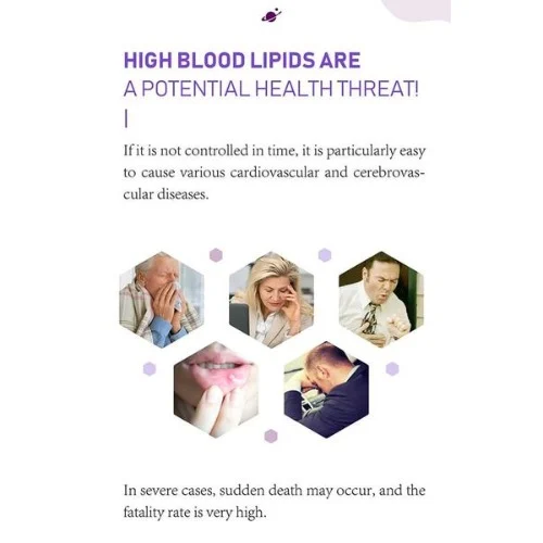 Norland Chao Li Kang Propolis-Lecithin Capsules (60 Caps) – Natural Heart, Liver & Immune Support - Image 2