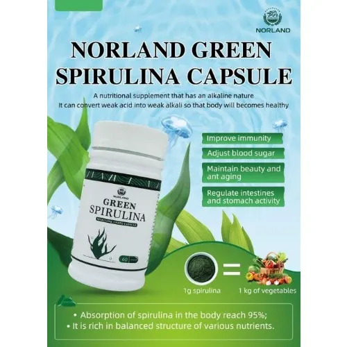Norland Green Spirulina Capsules (60 Caps) – Natural Superfood for Energy, Detox & Immunity