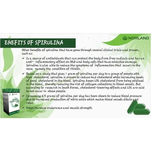 Norland Green Spirulina Capsules (60 Caps) – Natural Superfood for Energy, Detox & Immunity - Image 3