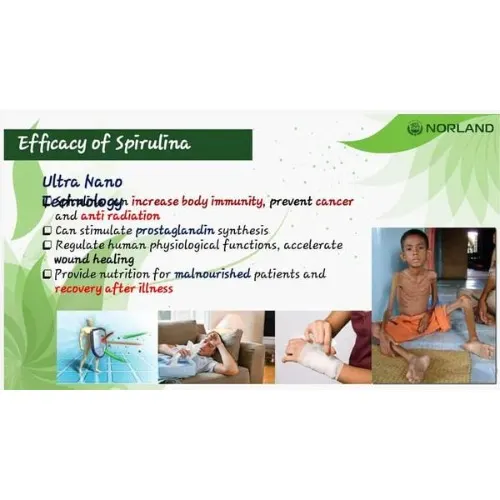 Norland Green Spirulina Capsules (60 Caps) – Natural Superfood for Energy, Detox & Immunity - Image 4