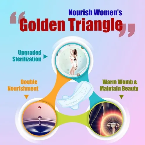 Norland Anion Sanitary Napkin – Advanced Feminine Hygiene & Protection - Image 3