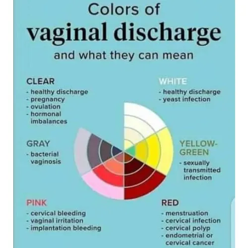 Norland Anion Sanitary Napkin – Advanced Feminine Hygiene & Protection - Image 4